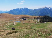 Ai Piani dell’Avaro ben fioriti di crocus – 2 maggio 2025 - FOTOGALLERY